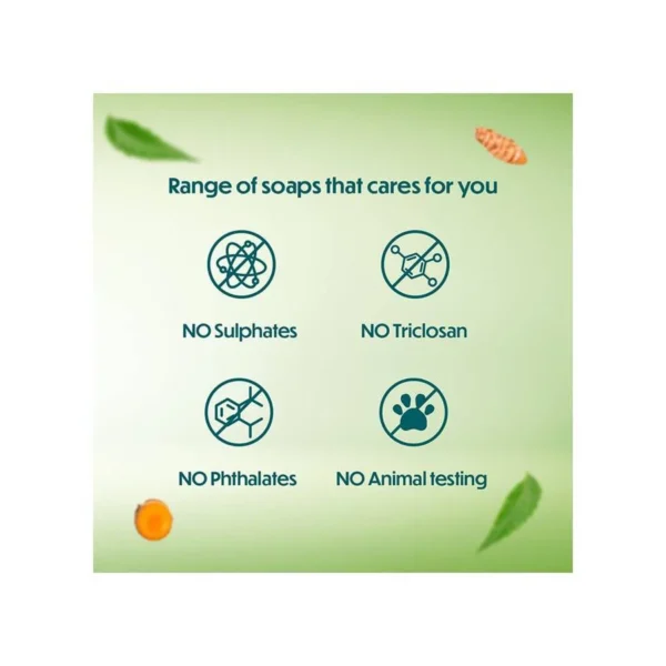 Himalaya Neem and Turmeric Soap - Image 2